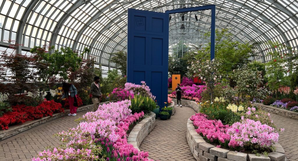 Garfield Park Conservatory Chicago | Best District park in united state
