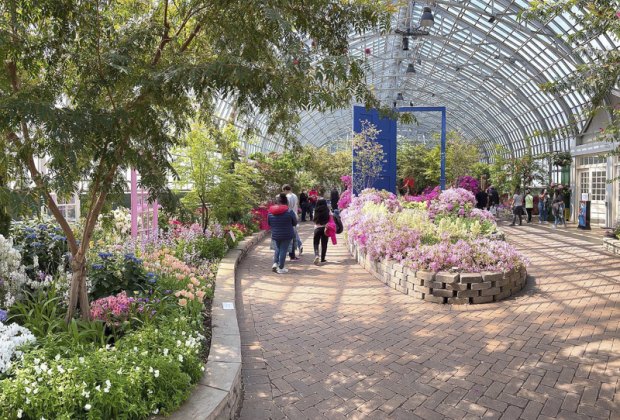 Garfield Park Conservatory Chicago | Best District park in united state