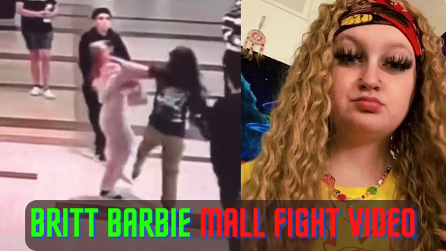 What happened when the video of the Britt Barbie mall fight went viral on Twitter
