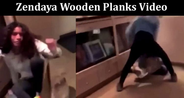 Wooden Plank Zendaya dancing on Plank video viral on Reddit and Twitter